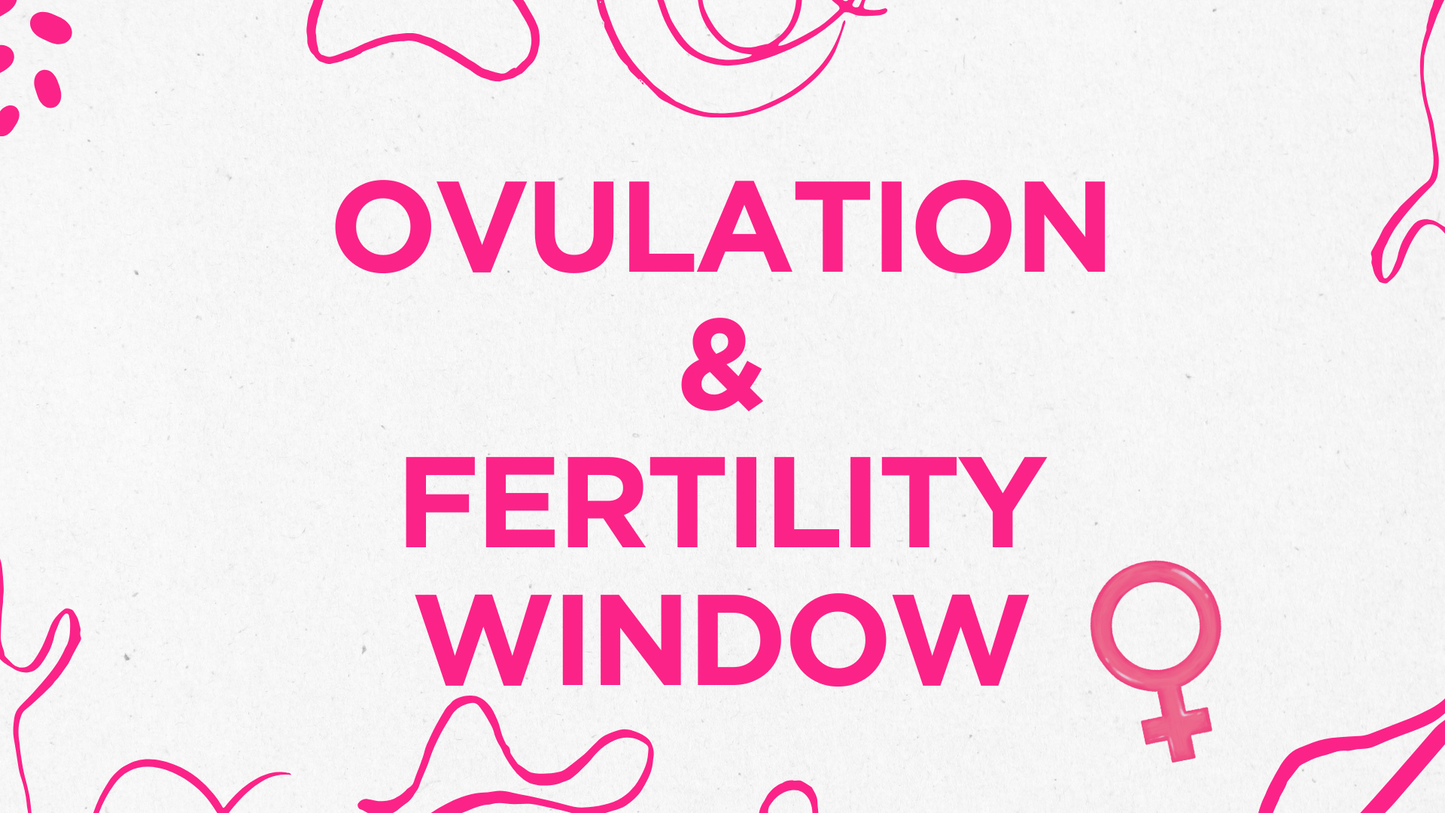 Trying to Conceive: Understanding Ovulation and Your Fertile Window